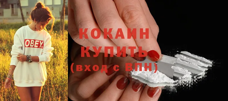 мега ссылки  Весьегонск  COCAIN FishScale 